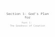 Section 1: God’s Plan for Part 1: The Goodness of Creation