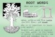 ROOT WORDS What are root words? Words originating from Latin (ancient Rome) and Greek. Why is it important to learn root words? Almost every word in English