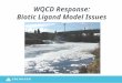 WQCD Response: Biotic Ligand Model Issues 1. Overview Biotic Ligand Model (BLM) is a relatively new tool from EPA for developing site-specific criterion-based