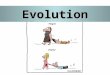 Evolution. What is evolution? Evolution is defined as “descent with modification” Evolution is defined as “descent with modification” – a.k.a. “Change