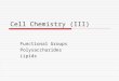 Cell Chemistry (III) Functional Groups Polysaccharides Lipids