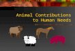 Animal Contributions to Human Needs. What animals are used for production purposes?