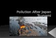 Types of pollution caused by the Japan’s Tsunami: › Water pollution  Soil Contaminants and physical contaminants;  Oil spills; › Nuclear pollution