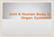 Unit 6 Human Body & Organ Systems. VIII. Systems Protection, Support, & Locomotion Integumentary System ◦ Skin: main organ (largest organ) ◦ Two layers: