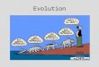 Evolution. Definition: Change in a population of organisms over time. Modern Humans Human evolution illustrated on a cladogram