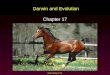 Mader: Biology 8 th Ed. Darwin and Evolution Chapter 17