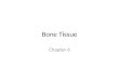 Bone Tissue Chapter 6. Skeletal Cartilage Chondrocytes in lacunae in gel-like ground substance – Ground substance of water & protein (collagen)  resiliency