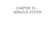 CHAPTER 35 – NERVOUS SYSTEM. 35-1 Human Body Systems
