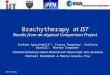 M.G. Pia et al. Brachytherapy at IST Results from an atypical Comparison Project Stefano Agostinelli 1,2, Franca Foppiano 1, Stefania Garelli 1, Matteo