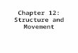 Chapter 12: Structure and Movement. Section 1: The Skeletal System