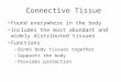 Connective Tissue Found everywhere in the body Includes the most abundant and widely distributed tissues Functions –Binds body tissues together –Supports