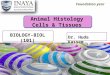 Foundation year BIOLOGY-BIOL (101) Animal Histology Cells & Tissues Dr. Huda Kassem