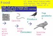 Soil with plant and remains Earth worm Sparrow Sparrow hawk Producer predator consumer Top predator Food chains LO: draw food chains/webs and explain