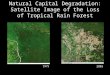 Natural Capital Degradation: Satellite Image of the Loss of Tropical Rain Forest 1975 2003