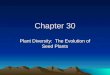 Chapter 30 Plant Diversity: The Evolution of Seed Plants