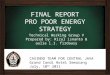 FINAL REPORT PRO POOR ENERGY STRATEGY Technical Working Group V Prepared by: Rizal isnanto & aulia l.I. firdausy CASINDO TEAM FOR CENTRAL JAVA Grand Candi