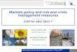 Markets policy and risk and crisis managment measures - CAP post 20131 Markets policy and risk and crisis management measures CAP for after 2013 ? Vincent