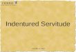 Indentured Servitude CICERO © 2007 History Beyond The Textbook CICERO