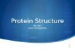 Protein Structure Fall 2011 Aaron Zampaglione. Protein Fold Rossmann Fold