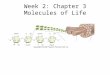 Week 2: Chapter 3 Molecules of Life. Outline Chemistry of Carbon –Role of Carbon –7 Functional Groups –Examples Molecules –Polymer Concept Sugars and