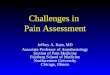 Challenges in Pain Assessment Jeffrey A. Katz, MD Associate Professor of Anesthesiology Section of Pain Medicine Feinberg School of Medicine Northwestern