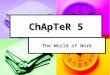ChApTeR 5 The World of Work. Career Planning Are you ready for the world of work?? Are you ready for the world of work?? Have you thought about what career