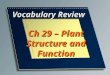 Vocabulary Review Ch 29 – Plant Structure and Function
