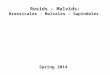 Rosids – Malvids: Brassicales - Malvales - Sapindales Spring 2014