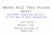 Where Will They Strike Next? microRNA targeting tactics in the war on gene expression Jeff Reid Miller “Lab” Baylor College of Medicine