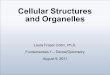 Cellular Structures and Organelles Laura Fraser Cotlin, Ph.D. Fundamentals 1 – Dental/Optometry August 9, 2011