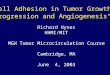 Richard Hynes HHMI/MIT MGH Tumor Microcirculation Course Cambridge, MA June 4, 2003 ”Cell Adhesion in Tumor Growth, Progression and Angiogenesis"