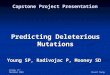 Friday 17 rd December 2004Stuart Young Capstone Project Presentation Predicting Deleterious Mutations Young SP, Radivojac P, Mooney SD