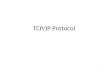 1 TCP/IP Protocol. 2 TCP/IP Vs OSI Model TCP/IP Protocol Developed prior to OSI model. Physical & Data link layers – Specific protocols are not defined
