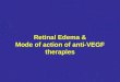 Retinal Edema & Mode of action of anti-VEGF therapies