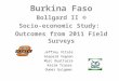 Jeffrey Vitale Gaspard Vognan Marc Ouattarra Karim Traore Oumar Guigemo Burkina Faso Bollgard II ® Socio-economic Study: Outcomes from 2011 Field Surveys