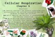 Cellular Respiration Chapter 9 Objectives: 3.0 Identify reactants and products associated with photosynthesis and cellular respiration and the purposes