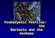 Prokaryotic Profiles: the Bacteria and the Archaea