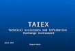 TAIEX TAIEX Technical assistance and Information Exchange instrument April 2015 Damjan Režek