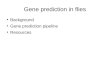 Gene prediction in flies ● Background ● Gene prediction pipeline ● Resources