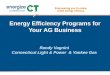 Energy Efficiency Programs for Your AG Business Randy Vagnini Connecticut Light & Power & Yankee Gas