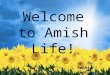 Welcome to Amish Life! By Sophia Skorup. An Amish Farm. Note the lack of electrical lines
