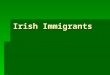 Irish Immigrants.  An 1850 census showed that 961,719 Ireland-born people were living in the United States. The numbers of Irish immigrants per year