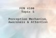 FEM 4100 Topic 5 Perception Mechanism, Awareness & Attention
