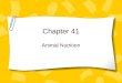 Chapter 41 Animal Nutrition. 3 Categories of Animals Omnivores-Consume plants and animals. Humans Herbivores-Consume plants Carnivores-eat other animals