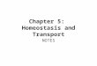 Chapter 5: Homeostasis and Transport NOTES. The Cell Membrane Regulates what enters and leaves a cell (gatekeeper) Provides protection and support Made