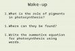 Wake-up 1.What is the role of pigments in photosynthesis? 1.Where can they be found? 1.Write the summative equation for photosynthesis using words