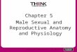 Copyright © 2011 Pearson Education, Inc. All rights reserved. Chapter 5 Male Sexual and Reproductive Anatomy and Physiology