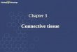 Chapter 3 Connective tissue Chapter 3 Connective tissue