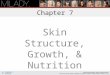 Chapter 7 Skin Structure, Growth, & Nutrition Learning Objectives Describe the structure and composition of the skin. List the six functions of the skin