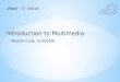 Module Code: CU0001NI Introduction to Multimedia Week – 3 - Extra